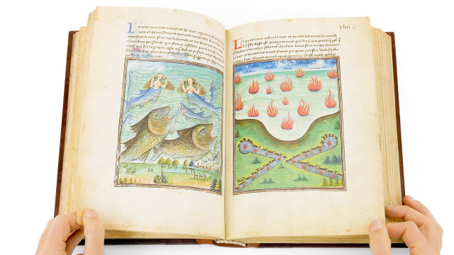 Book of the Vineyard