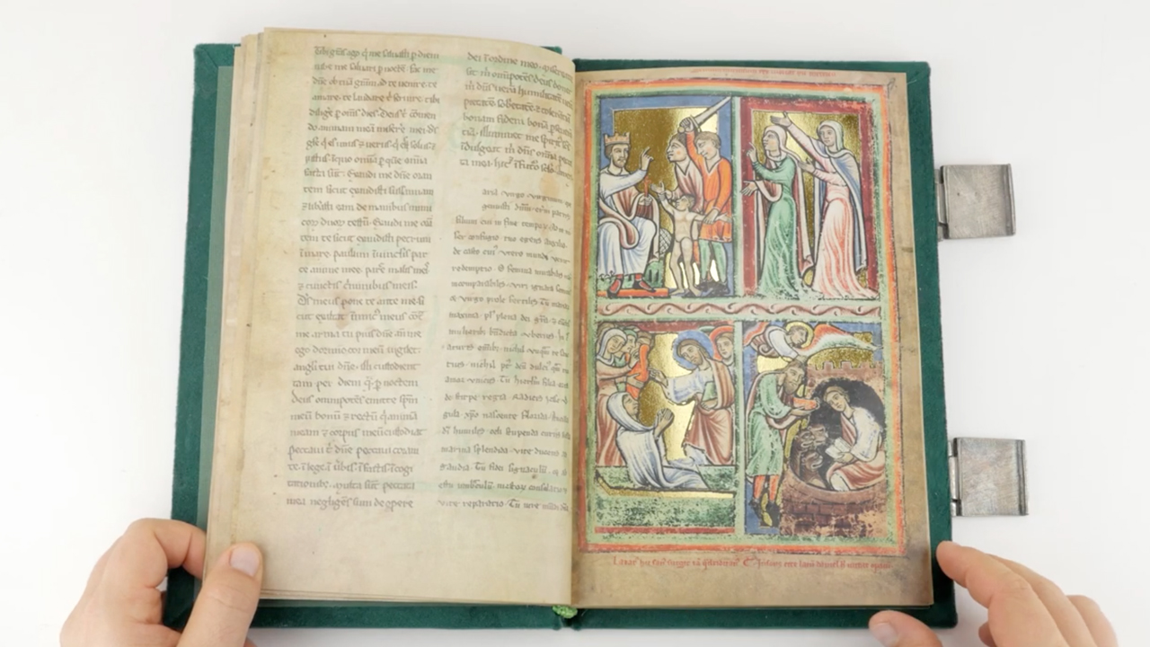 Illustrated Bible of The Hague