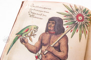 The Costume Codex, Nuremberg, Germanisches Nationalmuseum, Hs 22474 − Photo 9