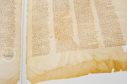 Codex Sinaiticus, Multiple locations − Photo 13