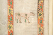 Book of Durrow, Dublin, Trinity College Library, MS 57 − Photo 2