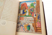 Flemish Book of Hours of Marie de Medici, Oxford, Bodleian Library, Ms. Douce 112 − Photo 20