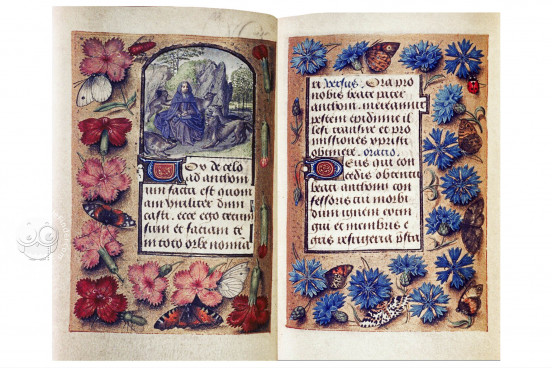 Hours of Engelbert of Nassau, Oxford, Bodleian Library, MS Douce 219-220 − Photo 1