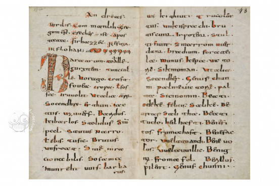 Abrogans Codex, St. Gall, Stiftsbibliothek St. Gallen, Cod. 911 − Photo 1