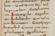 Abrogans Codex, St. Gall, Stiftsbibliothek St. Gallen, Cod. 911 − Photo 2