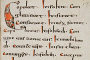 Abrogans Codex, St. Gall, Stiftsbibliothek St. Gallen, Cod. 911 − Photo 3