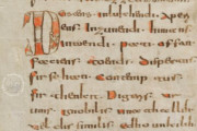 Abrogans Codex, St. Gall, Stiftsbibliothek St. Gallen, Cod. 911 − Photo 4