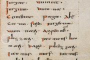 Abrogans Codex, St. Gall, Stiftsbibliothek St. Gallen, Cod. 911 − Photo 5