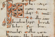Abrogans Codex, St. Gall, Stiftsbibliothek St. Gallen, Cod. 911 − Photo 6