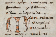 Abrogans Codex, St. Gall, Stiftsbibliothek St. Gallen, Cod. 911 − Photo 7