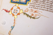 Divina Commedia di San Bernardo, Padua, Biblioteca del Seminario vescovile, Cod. 9 − Photo 18
