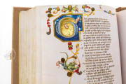 Divina Commedia di San Bernardo, Padua, Biblioteca del Seminario vescovile, Cod. 9 − Photo 25