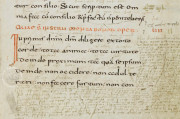 Saint Gall Rule of Benedict, St. Gall, Stiftsbibliothek St. Gallen, Cod. 914, pp. 1-172 − Photo 2