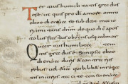 Saint Gall Rule of Benedict, St. Gall, Stiftsbibliothek St. Gallen, Cod. 914, pp. 1-172 − Photo 5