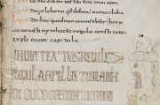 Saint Gall Rule of Benedict, St. Gall, Stiftsbibliothek St. Gallen, Cod. 914, pp. 1-172 − Photo 6