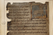 Nowell Codex, London, British Library, MS Cotton Vitellius A.xv, fols. 94-209 − Photo 2