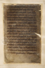 Nowell Codex, London, British Library, MS Cotton Vitellius A.xv, fols. 94-209 − Photo 3