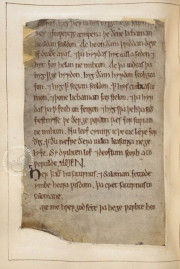 Nowell Codex, London, British Library, MS Cotton Vitellius A.xv, fols. 94-209 − Photo 4