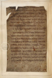 Nowell Codex, London, British Library, MS Cotton Vitellius A.xv, fols. 94-209 − Photo 6