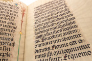 Epistolary of Frederick the Wise, Jena, Thuringer Universitats- und Landesbibliothek Jena, Ms. EL. F. 2 − Photo 16