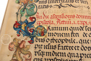 Epistolary of Frederick the Wise, Jena, Thuringer Universitats- und Landesbibliothek Jena, Ms. EL. F. 2 − Photo 18