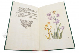 New Book of Flowers Facsimile Edition