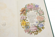 New Book of Flowers, Dresden, Sächsische Landesbibliothek – Staats- und Universitätsbibliothek, VD17
Dresden, Sächsisches Landesamt für Denkmalpflege, K4.5 − Photo 8