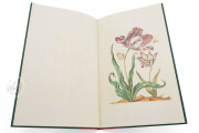 New Book of Flowers, Dresden, Sächsische Landesbibliothek – Staats- und Universitätsbibliothek, VD17
Dresden, Sächsisches Landesamt für Denkmalpflege, K4.5 − Photo 11