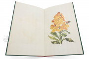 New Book of Flowers, Dresden, Sächsische Landesbibliothek – Staats- und Universitätsbibliothek, VD17
Dresden, Sächsisches Landesamt für Denkmalpflege, K4.5 − Photo 15