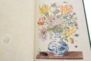 New Book of Flowers, Dresden, Sächsische Landesbibliothek – Staats- und Universitätsbibliothek, VD17
Dresden, Sächsisches Landesamt für Denkmalpflege, K4.5 − Photo 16