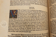 Luther Bible of 1534, Weimar, Herzogin Anna Amalia Bibliothek − Photo 17