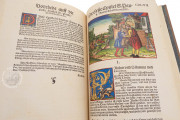 Luther Bible of 1534, Weimar, Herzogin Anna Amalia Bibliothek − Photo 29