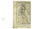Field Book of Surgery, Heidelberg, Universitätsbibliothek Heidelberg, P 7584 Folio RES − Photo 3