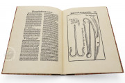 Field Book of Surgery, Heidelberg, Universitätsbibliothek Heidelberg, P 7584 Folio RES − Photo 8