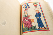 Codex Manesse, Heidelberg, Universitätsbibliothek Heidelberg, Cod. Pal. germ. 848 − Photo 9