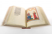 Codex Manesse, Heidelberg, Universitätsbibliothek Heidelberg, Cod. Pal. germ. 848 − Photo 10