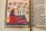 Codex Manesse, Heidelberg, Universitätsbibliothek Heidelberg, Cod. Pal. germ. 848 − Photo 11