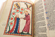 Codex Manesse, Heidelberg, Universitätsbibliothek Heidelberg, Cod. Pal. germ. 848 − Photo 15