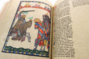 Codex Manesse, Heidelberg, Universitätsbibliothek Heidelberg, Cod. Pal. germ. 848 − Photo 19