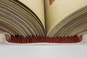 Codex Manesse, Heidelberg, Universitätsbibliothek Heidelberg, Cod. Pal. germ. 848 − Photo 21