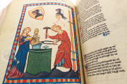 Codex Manesse, Heidelberg, Universitätsbibliothek Heidelberg, Cod. Pal. germ. 848 − Photo 22