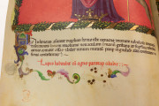 Vaticinia Pontificum by Benozzo Gozzoli, London, British Library, MS Harley 1340 − Photo 15