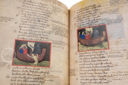 Filippino Codex of the Divine Comedy, Naples, Italy, Biblioteca Oratoriana dei Girolamini, MS. CF 2 16 − Photo 12