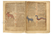 Old English Illustrated Pharmacopoeia, London, British Library, MS Cotton Vitellius C.iii, fols. 11-85 − Photo 2