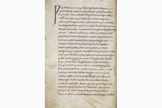 First Series of Catholic Homilies, London, British Library, MS Royal 7.C.xii − Photo 1
