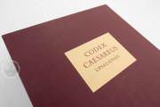 Codex Caesareus Upsaliensis, Uppsala, Universitetsbibliotek Uppsala, MS C 93 − Photo 21