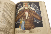 Divine Comedy - Hamburg-Altona Manuscript, Hamburg, Bibliothek des Gymnasiums Christianeum, MS N.2 Aa 5/7 − Photo 7