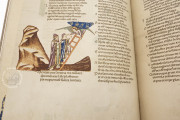 Divine Comedy - Hamburg-Altona Manuscript, Hamburg, Bibliothek des Gymnasiums Christianeum, MS N.2 Aa 5/7 − Photo 9