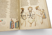 Divine Comedy - Hamburg-Altona Manuscript, Hamburg, Bibliothek des Gymnasiums Christianeum, MS N.2 Aa 5/7 − Photo 13