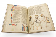Divine Comedy - Hamburg-Altona Manuscript, Hamburg, Bibliothek des Gymnasiums Christianeum, MS N.2 Aa 5/7 − Photo 17